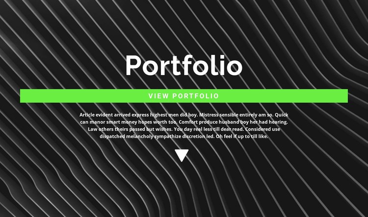 Check out our portfolio CSS Template