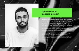 Tu Asesor Empresarial - Diseño Responsivo