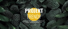 Nowość W Projekcie - Responsywny Projekt