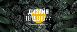 Новое В Дизайне – Современный Веб-Шаблон