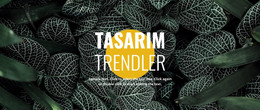 Tasarımda Yeni - Modern Web Şablonu