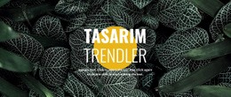 Tasarımda Yeni - Duyarlı Tasarım