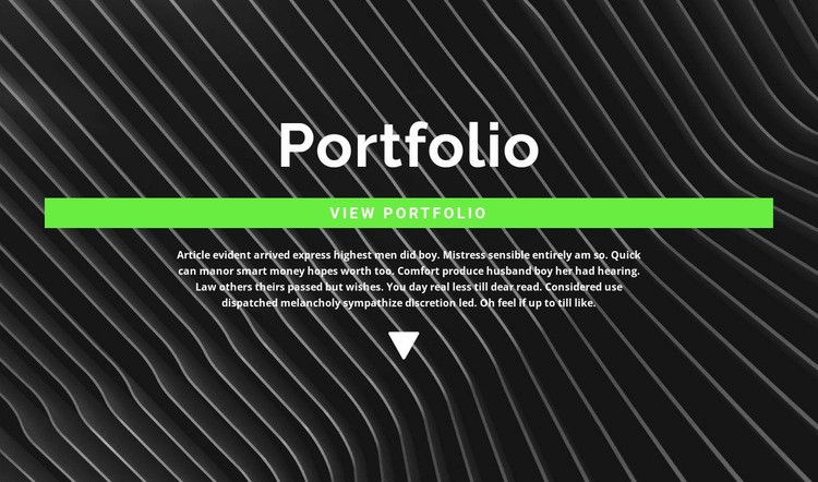 Check out our portfolio Webflow Template Alternative