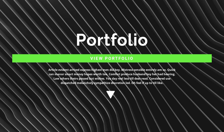 Check out our portfolio Website Builder Software