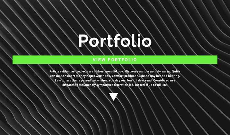 Check out our portfolio WordPress Theme
