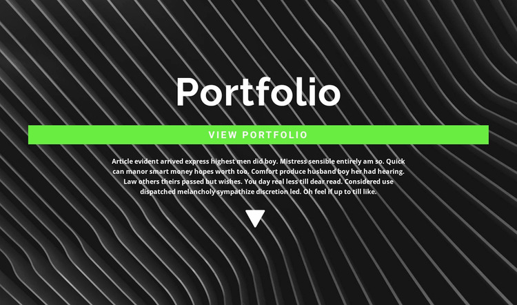 Check out our portfolio WordPress Website Builder