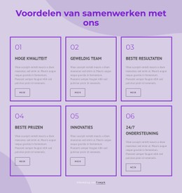 Voordelen Van Het Werken Met Onze Consultants Gratis Website