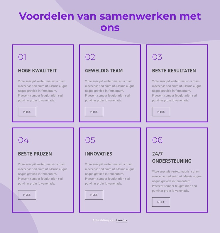 Voordelen van het werken met onze consultants Website sjabloon