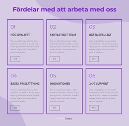 Fördelar Med Att Arbeta Med Våra Konsulter - Mall För Webbplatsbyggare