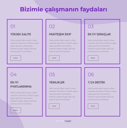 Danışmanlarımızla Çalışmanın Faydaları Ücretsiz Web Sitesi