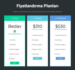 Duyarlı Fiyatlandırma Bloğu Için Web Tasarımı