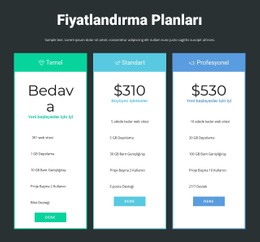 Duyarlı Fiyatlandırma Bloğu