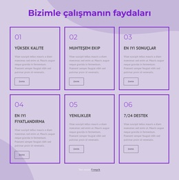 Danışmanlarımızla Çalışmanın Faydaları - WordPress Ve WooCommerce Teması