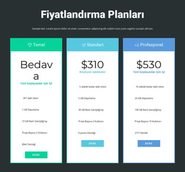 Duyarlı Fiyatlandırma Bloğu