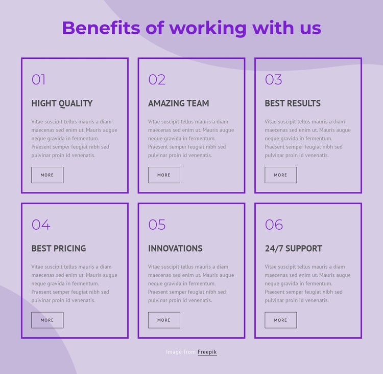 Benefits of working with our consultants WordPress Website Builder