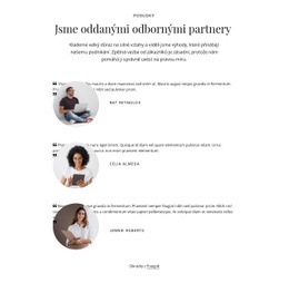 Jsme Partnery Odborníků – Snadno Použitelný Motiv WordPress