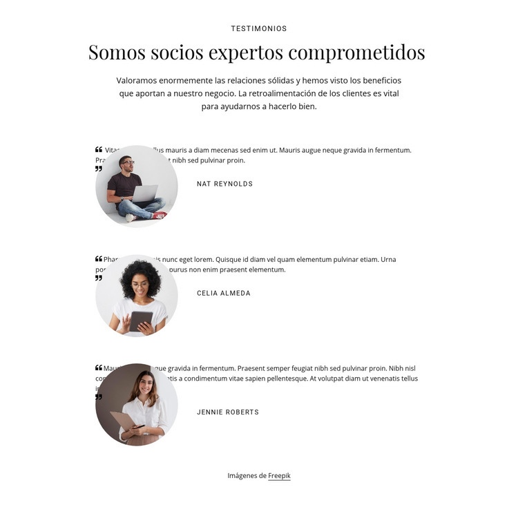 Somos socios expertos comprometidos Maqueta de sitio web