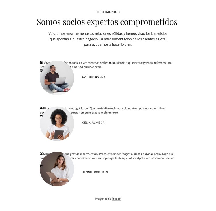 Somos socios expertos comprometidos Plantilla CSS