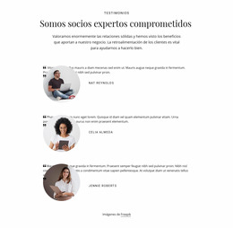 Somos Socios Expertos Comprometidos - Plantilla De Comercio Electrónico Joomla