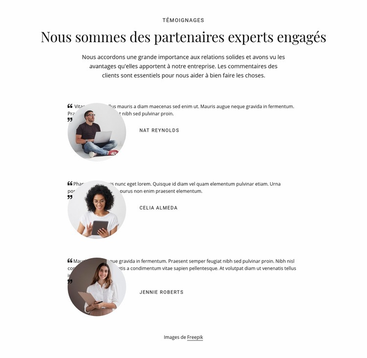 Nous sommes des partenaires experts engagés Maquette de site Web