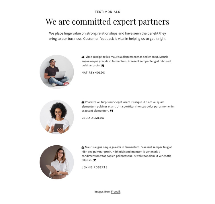We are commited expert partners HTML5 Template