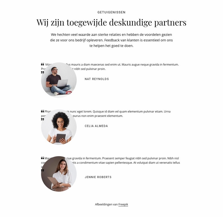 Wij zijn toegewijde deskundige partners Html Website Builder