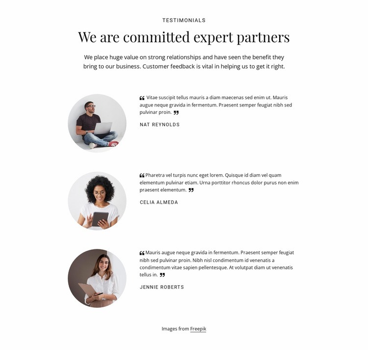 Vi är engagerade expertpartners Html webbplatsbyggare