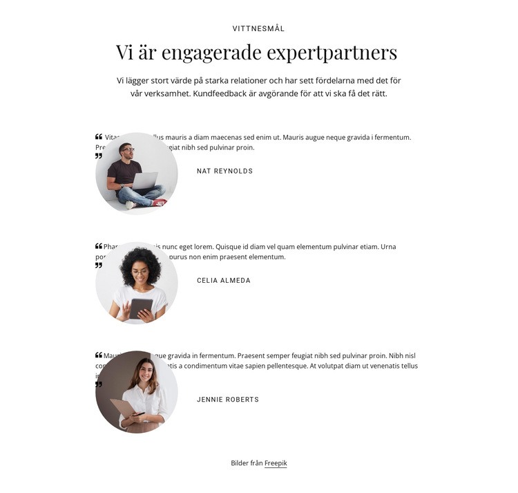 Vi är engagerade expertpartners Hemsidedesign