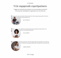 Vi Är Engagerade Expertpartners - Lättanvänt WordPress-Tema