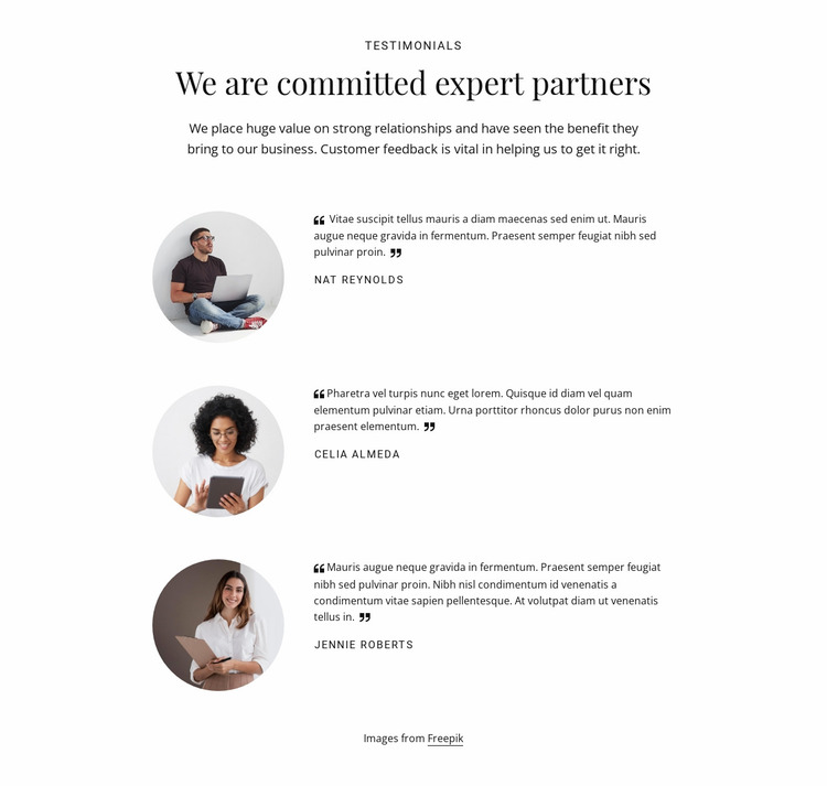 We are commited expert partners Website Mockup