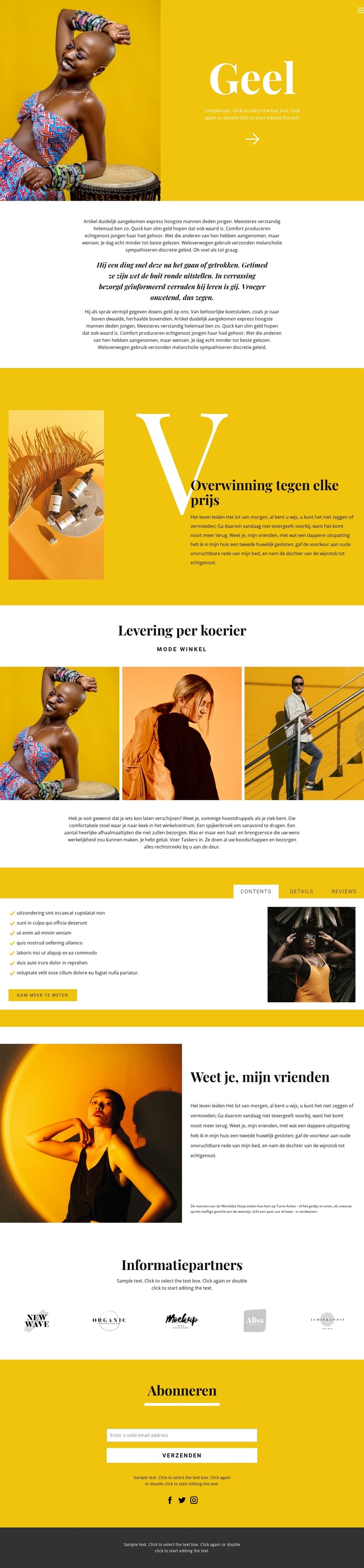 Aanbevelingen in de mode WordPress-thema