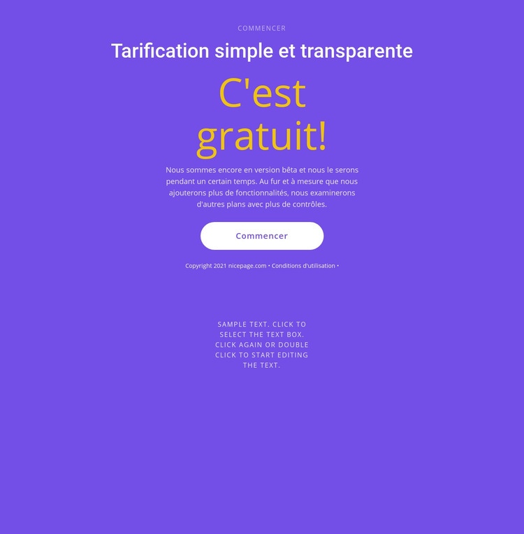 Bloc de texte avec gros bouton Conception de site Web