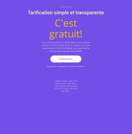 Bloc De Texte Avec Gros Bouton #Website-Mockup-Fr-Seo-One-Item-Suffix