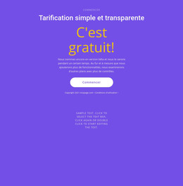 Bloc De Texte Avec Gros Bouton - Modèle HTML Et CSS