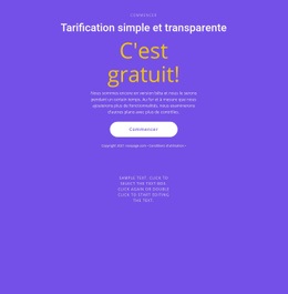 Modèle De Site Pour Bloc De Texte Avec Gros Bouton