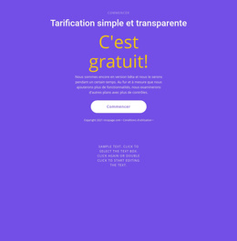 Bloc De Texte Avec Gros Bouton - Thème WordPress Réactif