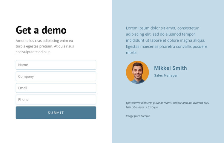 Get a demo HTML Template