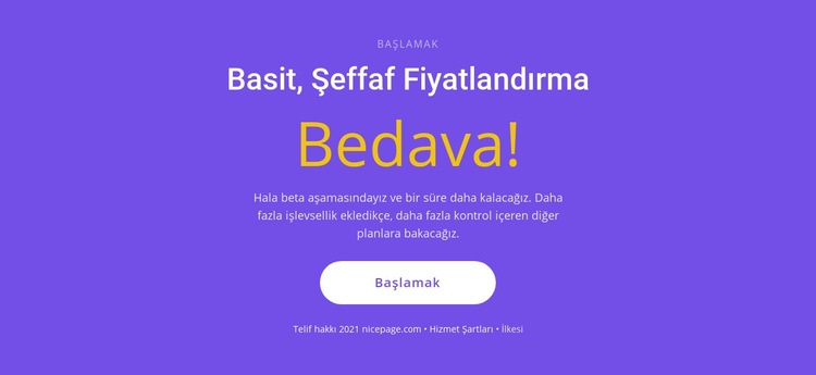 Büyük düğmeli metin bloğu HTML5 Şablonu