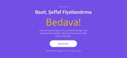 Büyük Düğmeli Metin Bloğu - Profesyonel Web Sitesi Tasarımı