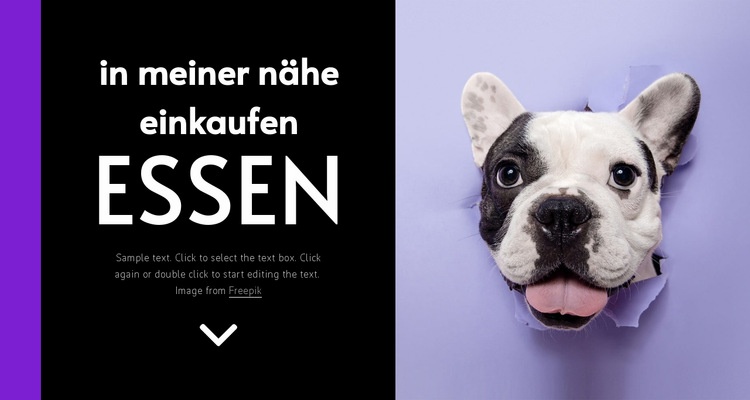 Hundefutter Website design