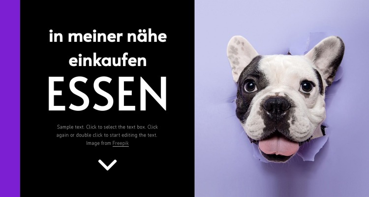 Hundefutter Website-Modell