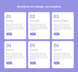 Mejor Tema De WordPress Para Brindamos Trabajo Flexible