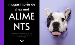 Nourriture Pour Chiens Site Web Réactif