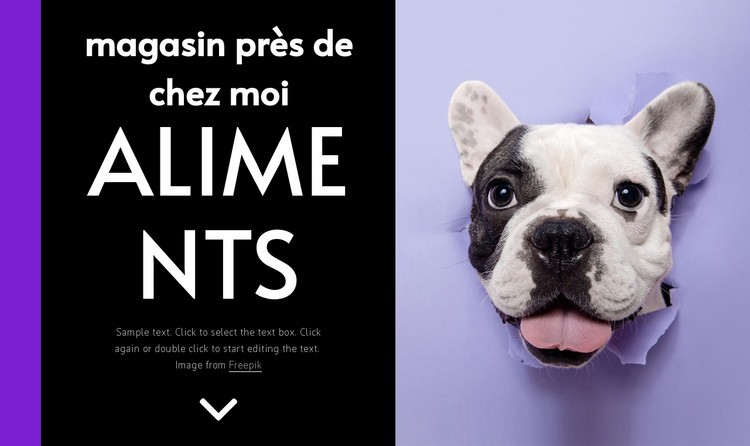 Nourriture pour chiens Modèles de constructeur de sites Web