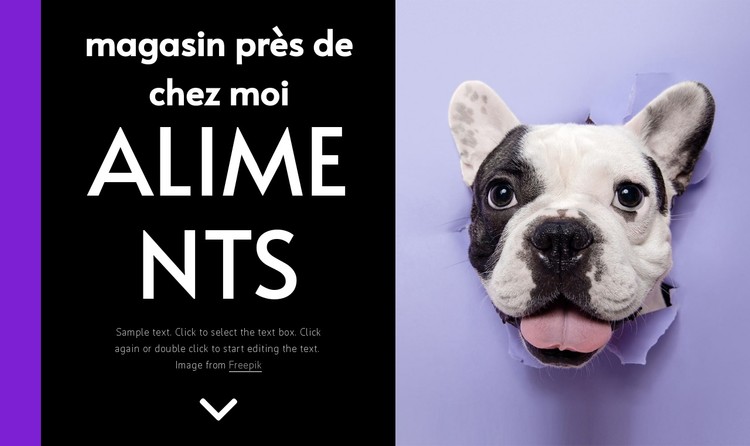 Nourriture pour chiens Modèle CSS