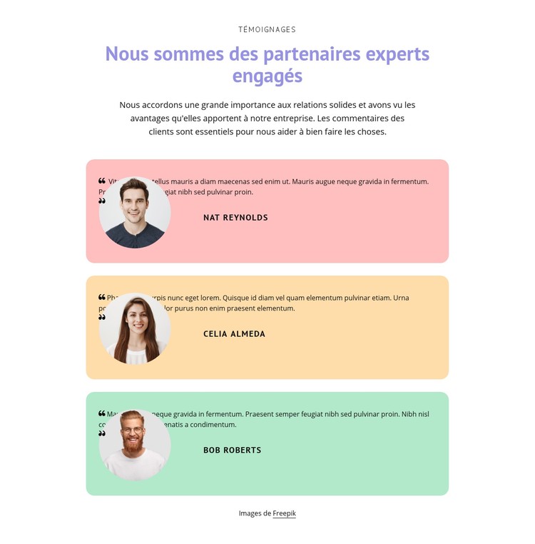 Grands témoignages Modèle CSS