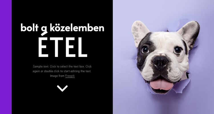 A kutyák tápláléka Weboldal tervezés