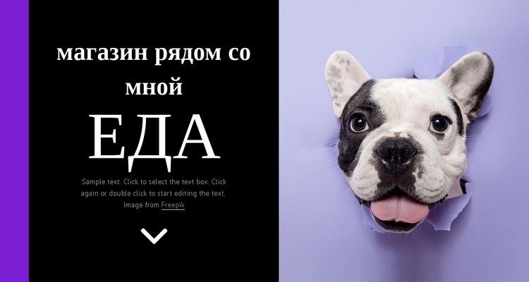 Корм для собак Мокап веб-сайта