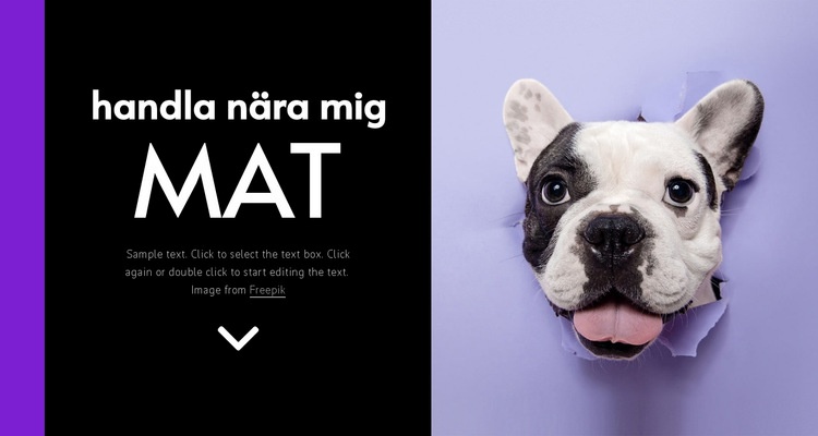 Hundmat Hemsidedesign