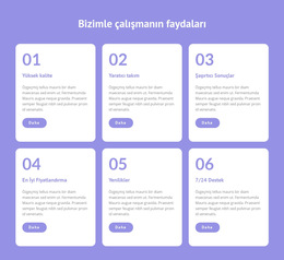 Esnek Çalışma Sağlıyoruz - Mobil Web Sitesi Şablonu